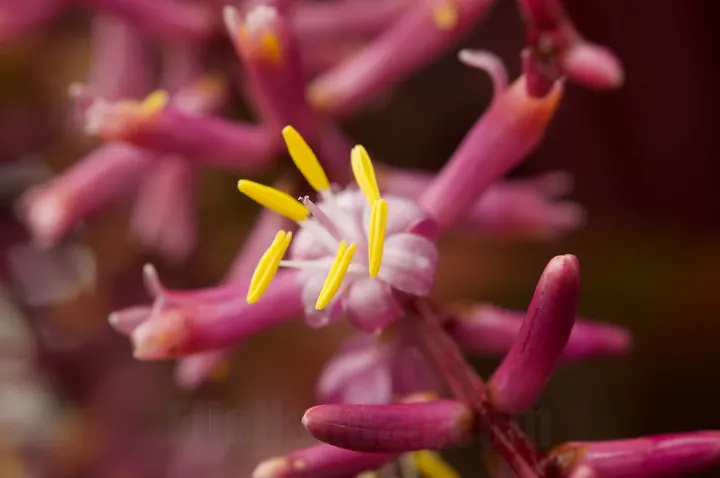 Photograph by Elio Haddad, nature — view 19