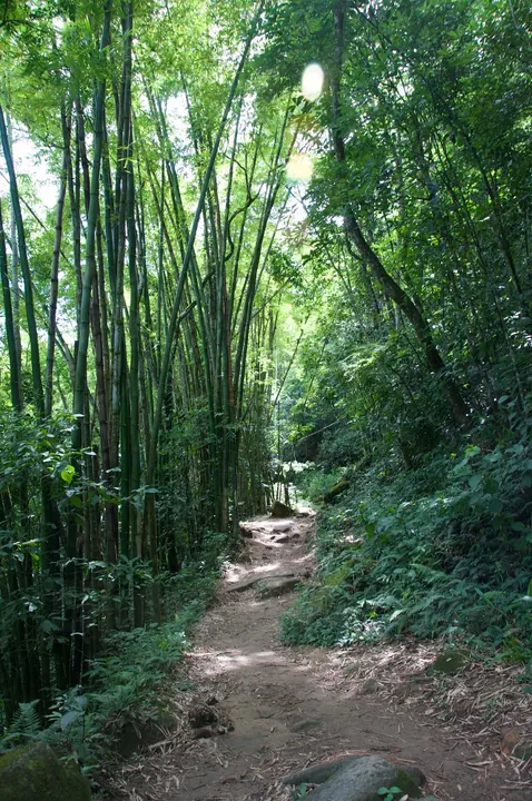 Photograph by Elio Haddad, nature — view 18