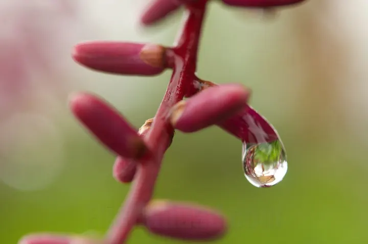 Photograph by Elio Haddad, nature — view 15