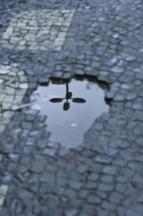 Photograph by Elio Haddad, abstract — view 15