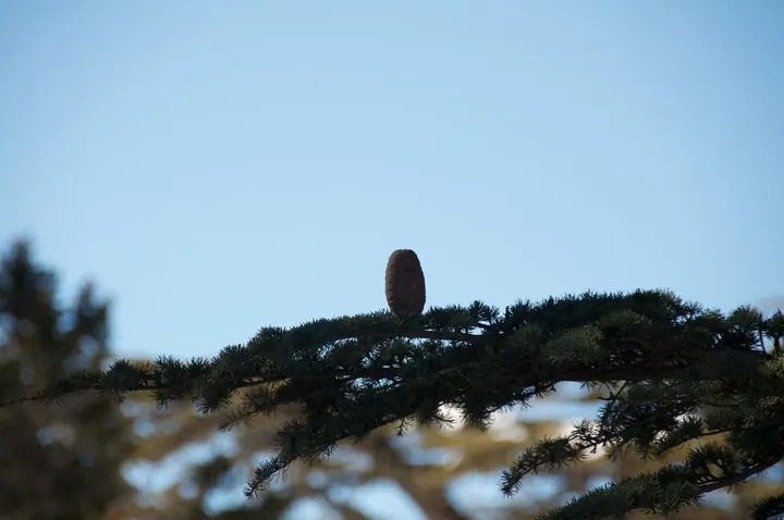 Photograph by Elio Haddad, nature — view 14