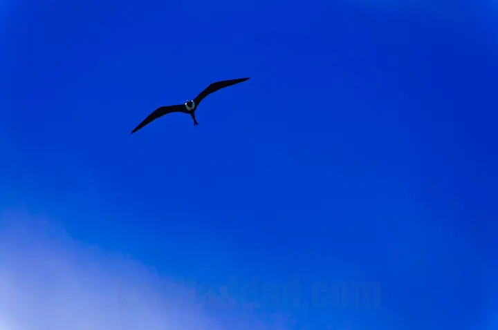 Photograph by Elio Haddad, nature — view 13