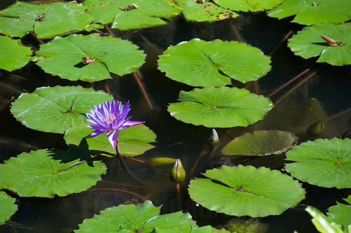 Photograph by Elio Haddad, nature — view 12