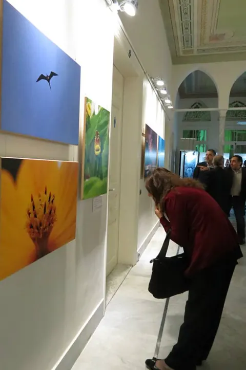 Rio com muito Amor exhibition, Beirut — view 5